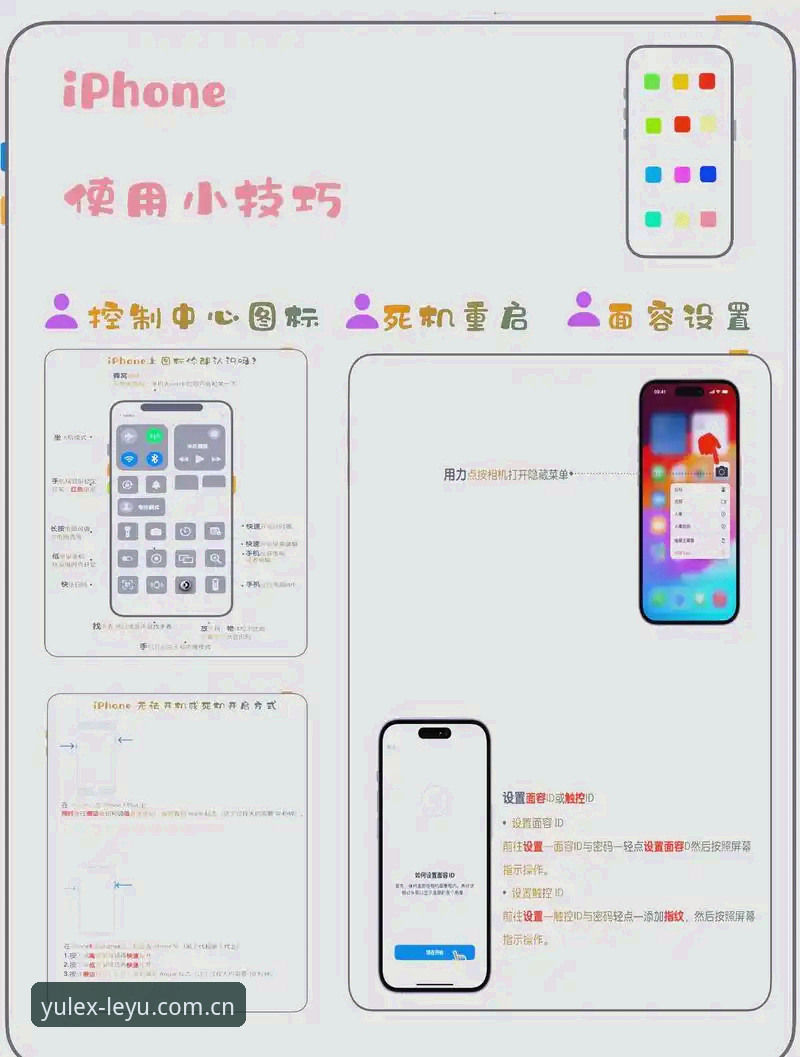 乐鱼苹果版 乐鱼苹果版实用指南:从下载到使用全流程必备知识